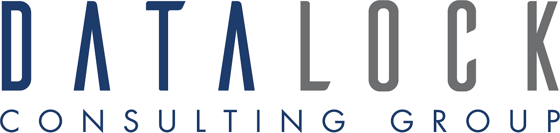 DataLock Consulting Group logo