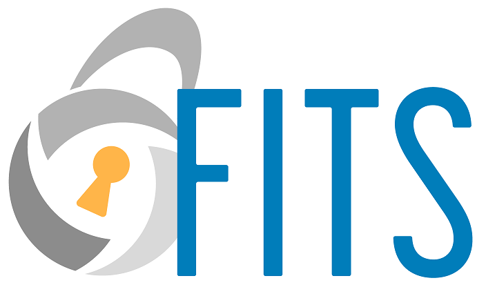 First Information Technology Services, Inc. logo