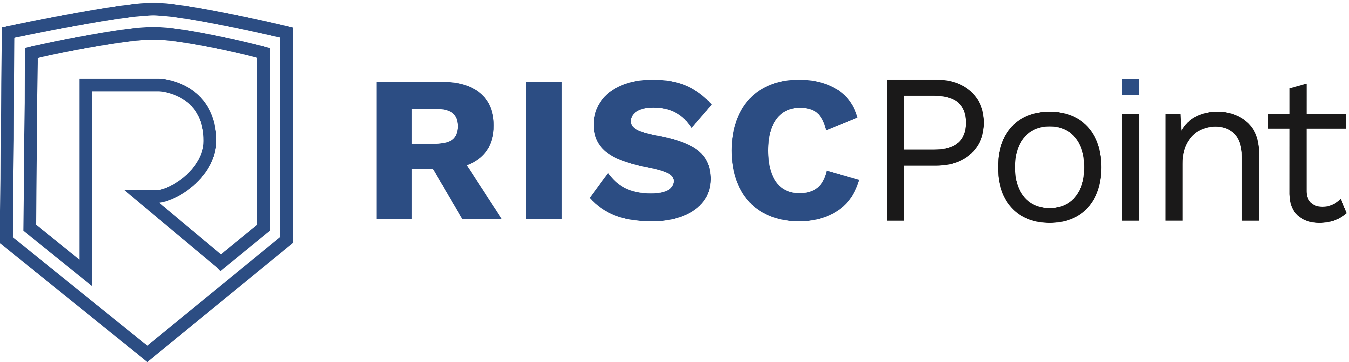 RISC Point logo